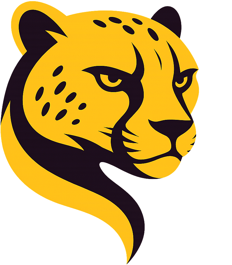 Cheetah Tool PRO - 6 Month ACTIVATION AUTO API